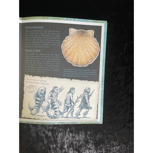 The Secret History of Mermaids and Creatures of the Deep by Professor Ari Berk - Picture 13 of 16